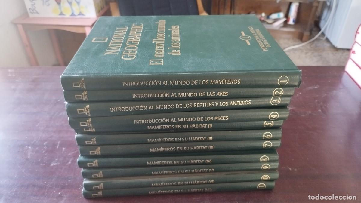 Libros de segunda mano: EL MARAVILLOSO MUNDO DE LOS ANIMALES 11 TOMOS / NATIONAL GEOGRAPHIC / CJA600