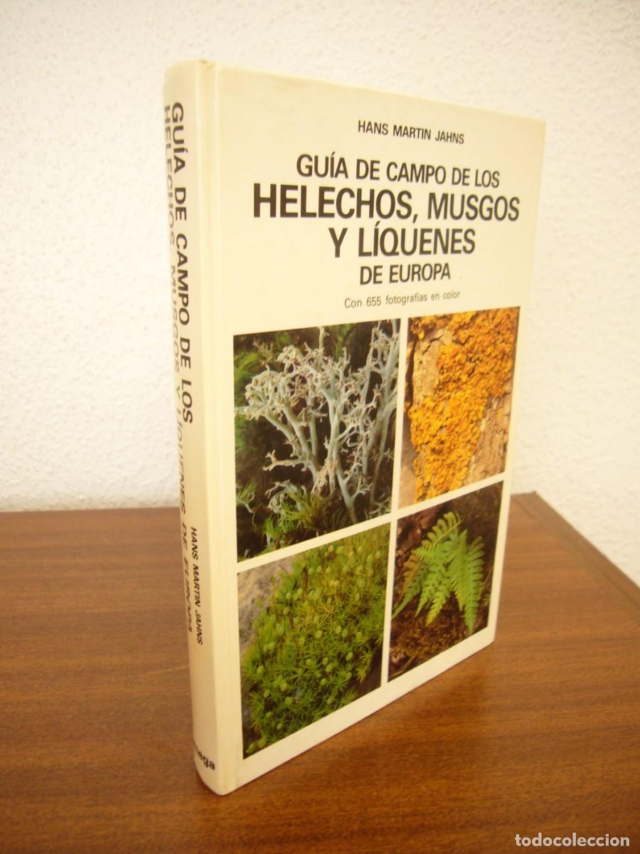 Libros de segunda mano: HANS MARTIN JAHNS: GU&Iacute;A DE CAMPO DE LOS HELECHOS, MUSGOS Y L&Iacute;QUENES DE EUROPA (OMEGA, 1982) MUY RARO