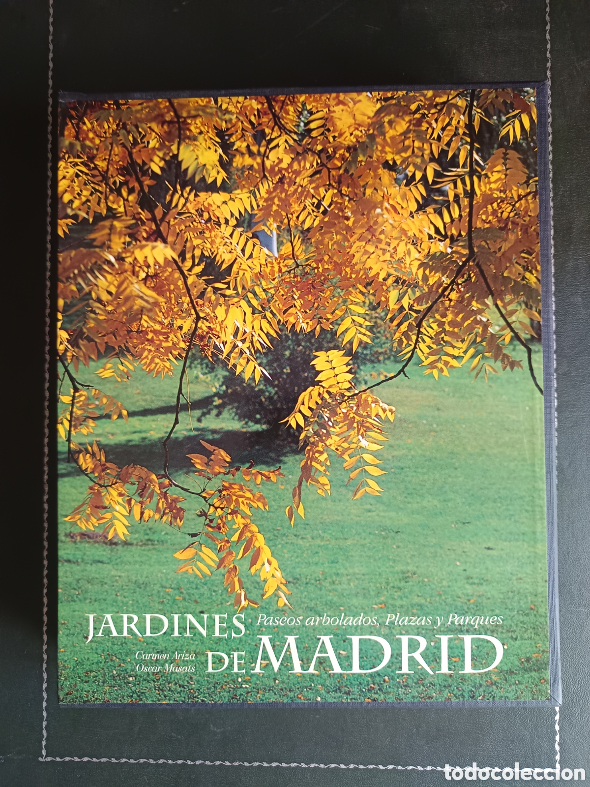 Libros de segunda mano: JARDINES DE MADRID. PASEOS ARBOLADOS, PLAZAS Y PARQUES. EN UN ESTUCHE. - ARIZA/MASALS, Carmen/Oscar.
