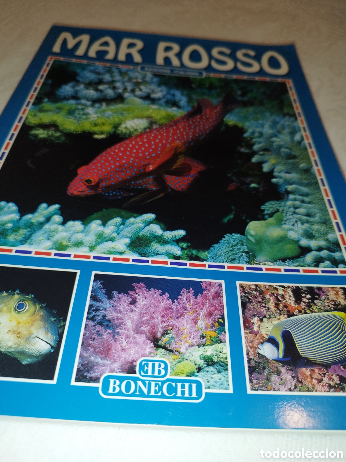 Libros de segunda mano: ANDREA GHISOTTI: MAR ROSSO. EDIZIONE ITALIANA. ED. BONECHI, 2000. 335 ILLUSTRAZIONI.