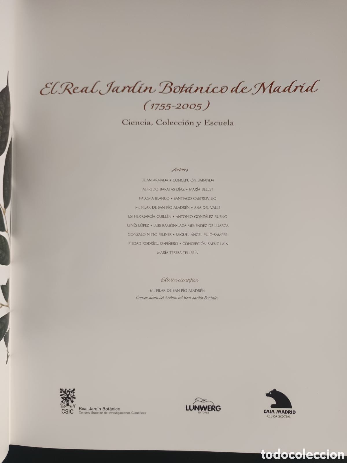 Libros de segunda mano: EL REAL JARDIN BOTANICO DE MADRID - 1755-2005 - - Foto 4