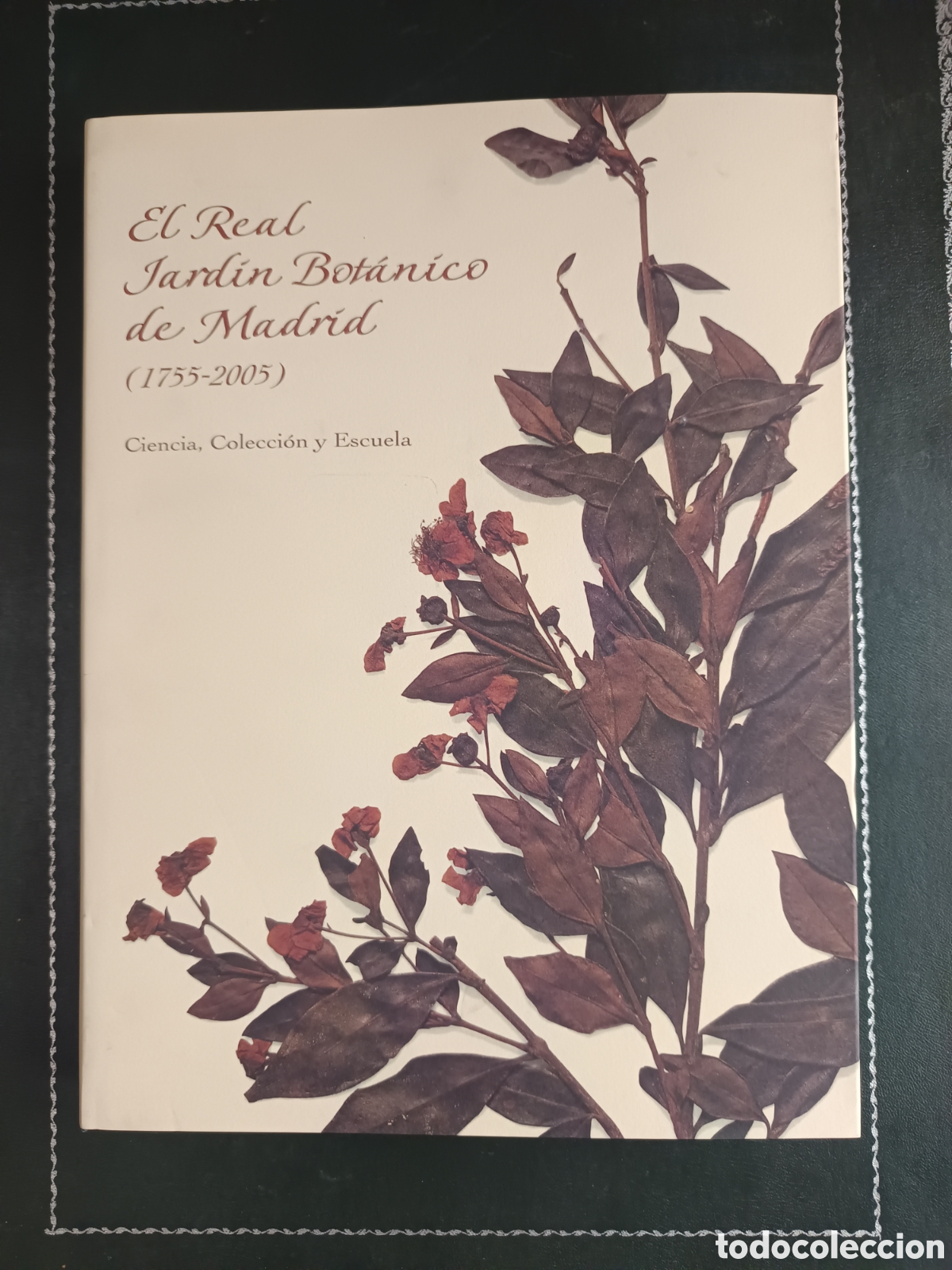 Libros de segunda mano: EL REAL JARDIN BOTANICO DE MADRID - 1755-2005 -