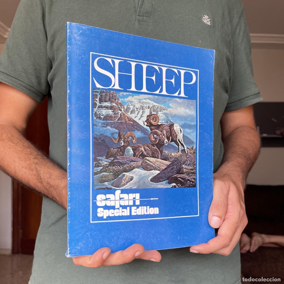 Libros de segunda mano: A&ntilde;o 1981 - Safari Magazine Special Edition - Sheep - Caza mayor