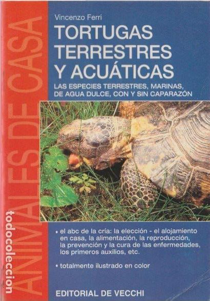 Libros de segunda mano: Tortugas terrestres y acu&aacute;ticas / Vinzenzo Ferri