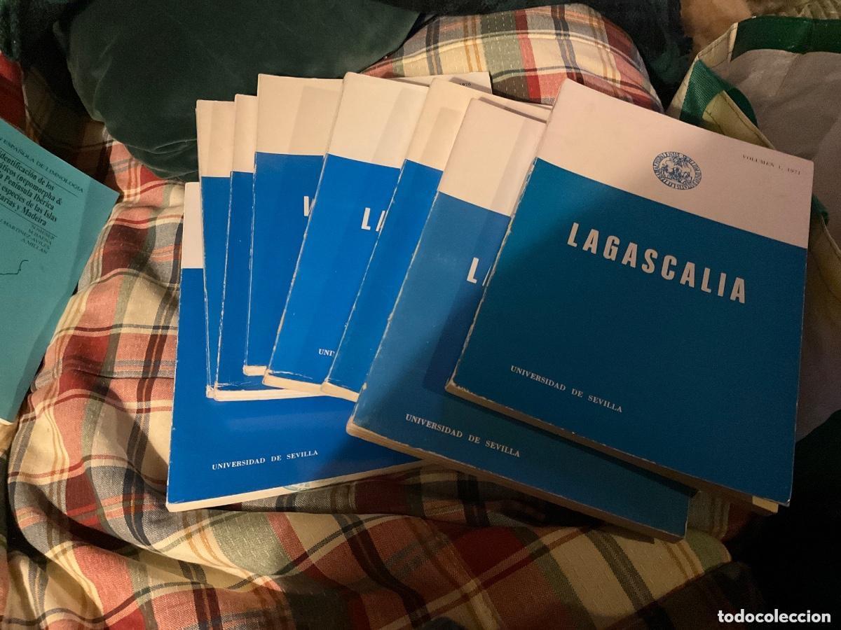 Libros de segunda mano: Lagascalia 8 n&uacute;meros departamento de bot&aacute;nica Sevilla 1971, 1972,1973, 1974 , 1976 1986