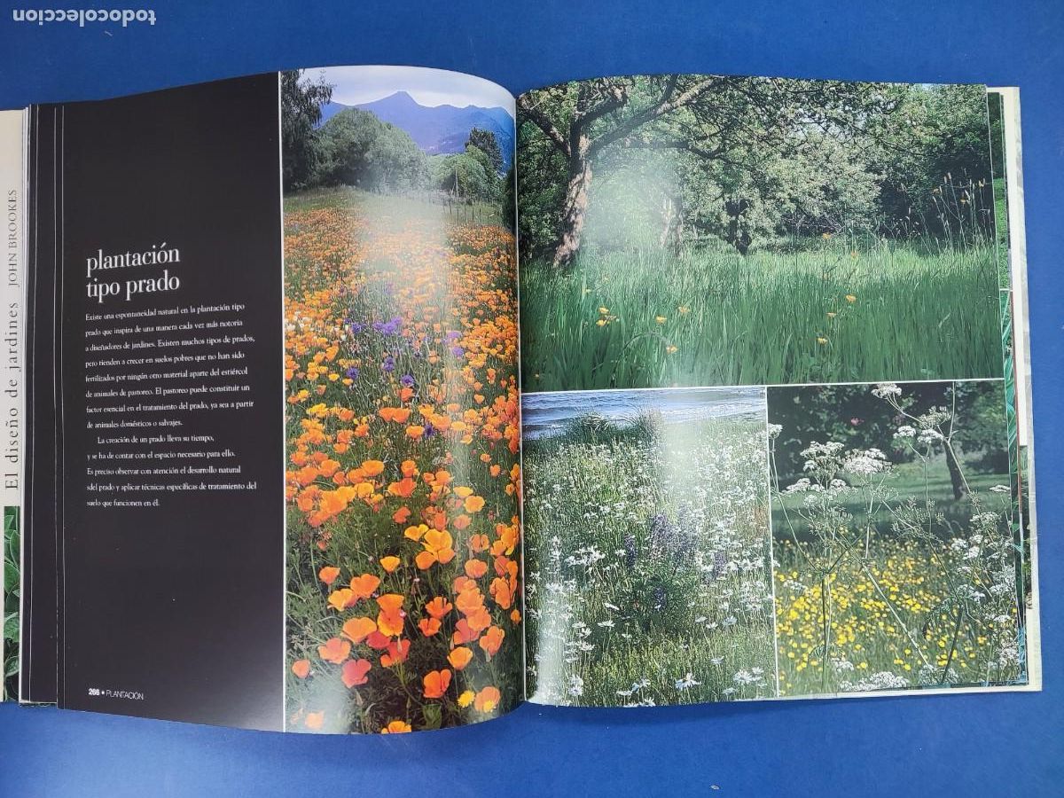 Libros de segunda mano: EL DISE&Ntilde;O DE JARDINES / JOHN BROOKES / 2002. BLUME - Foto 5