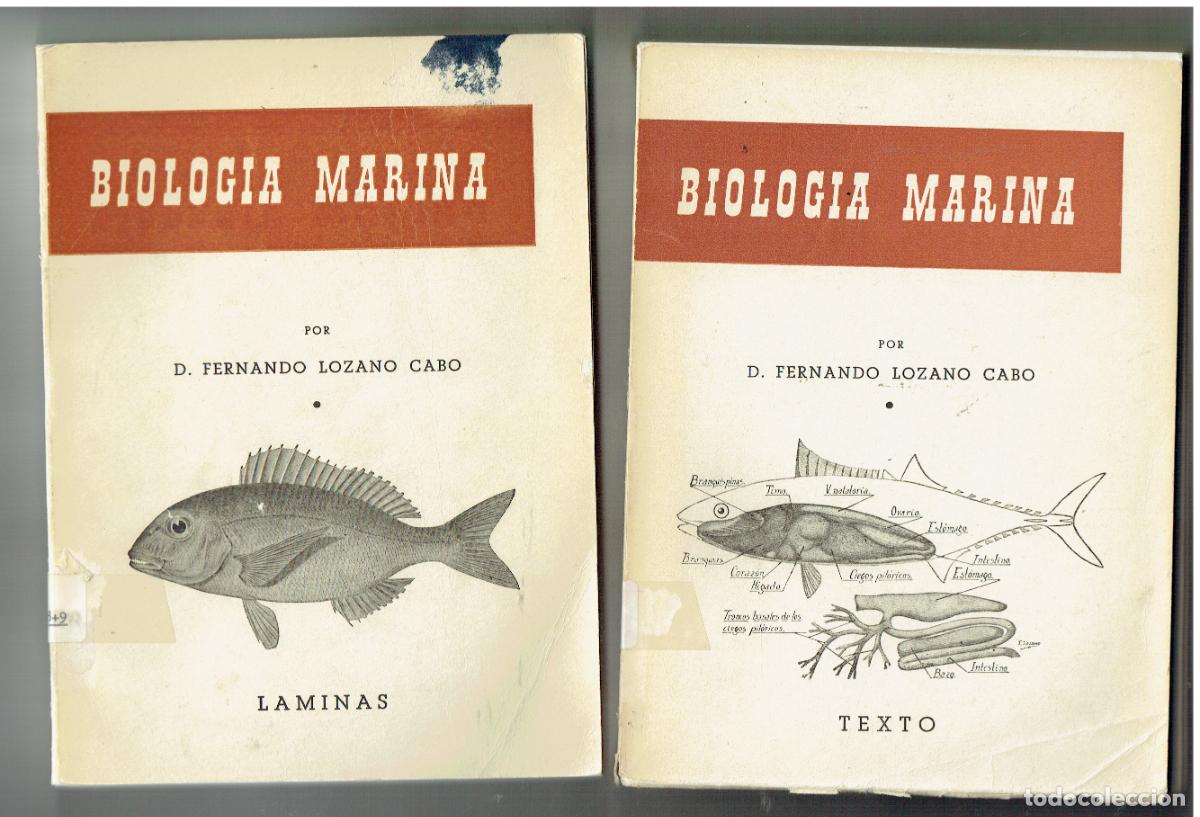 Libros de segunda mano: BIOLOG&Iacute;A MARINA. DOS TOMOS. TEXTO Y L&Aacute;MINAS. FERN&Aacute;NDO LOZANO CABO. MADRID, 1959. (Z/34.3)