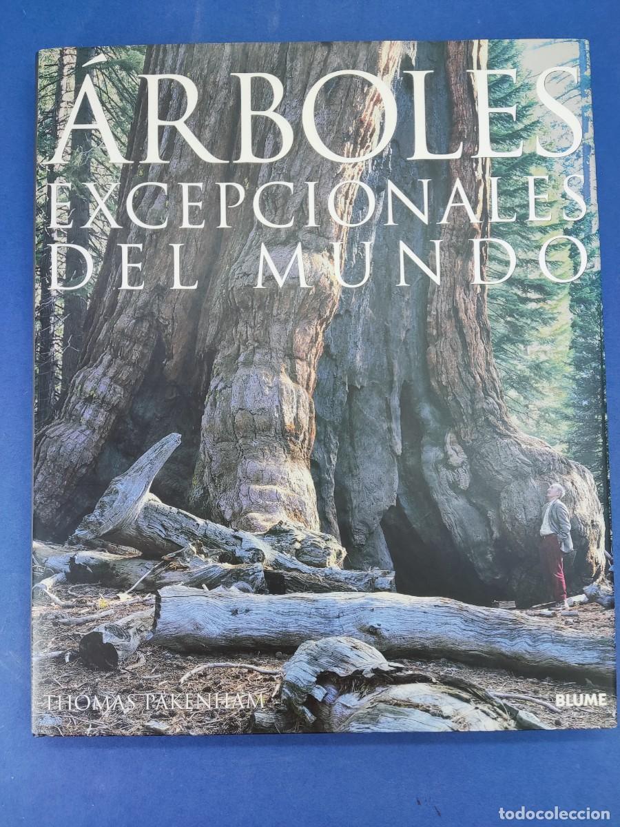 Libros de segunda mano: &Aacute;RBOLES EXCEPCIONALES DEL MUNDO / THOMAS PAKENHAM / 2003. BLUME