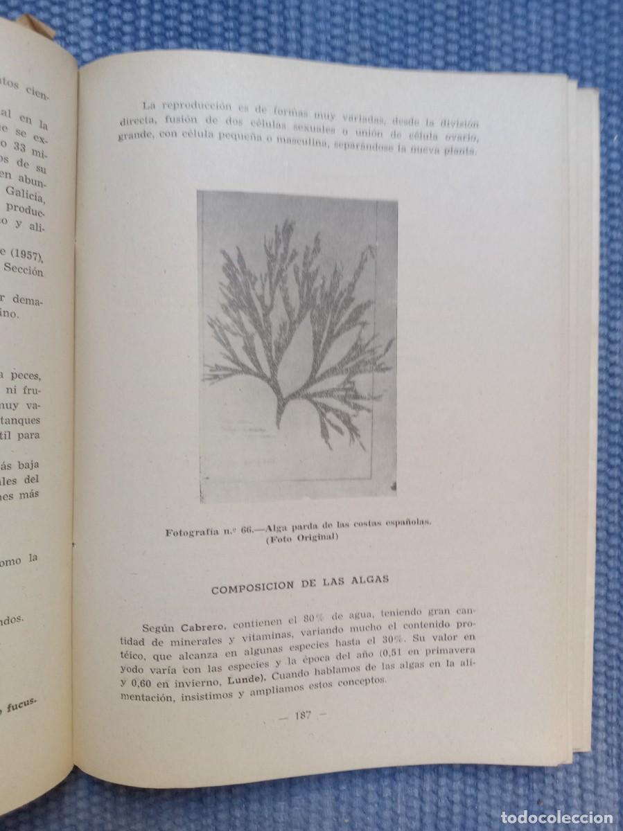Libros de segunda mano: Biolog&iacute;a marina y aprovechamiento de los animales del mar - Foto 3