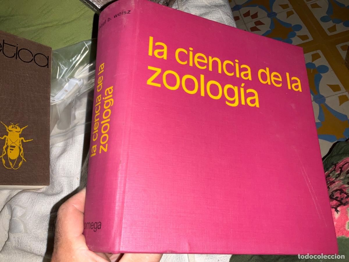 Libros de segunda mano: La ciencia de la zoolog&iacute;a. - PAUL B. WEISZ.