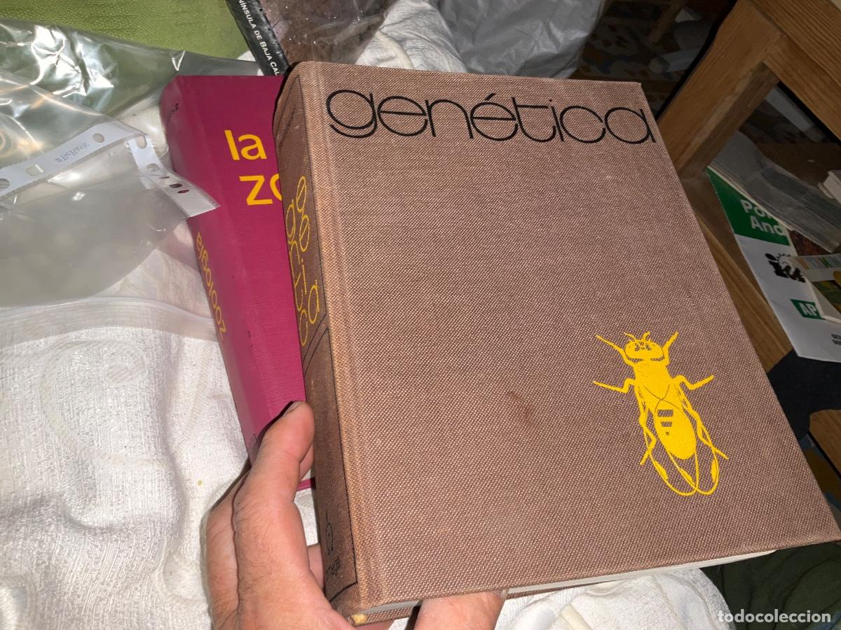Libros de segunda mano: GEN&Eacute;TICA, MONROE W. STRICKBERGER - Foto 1