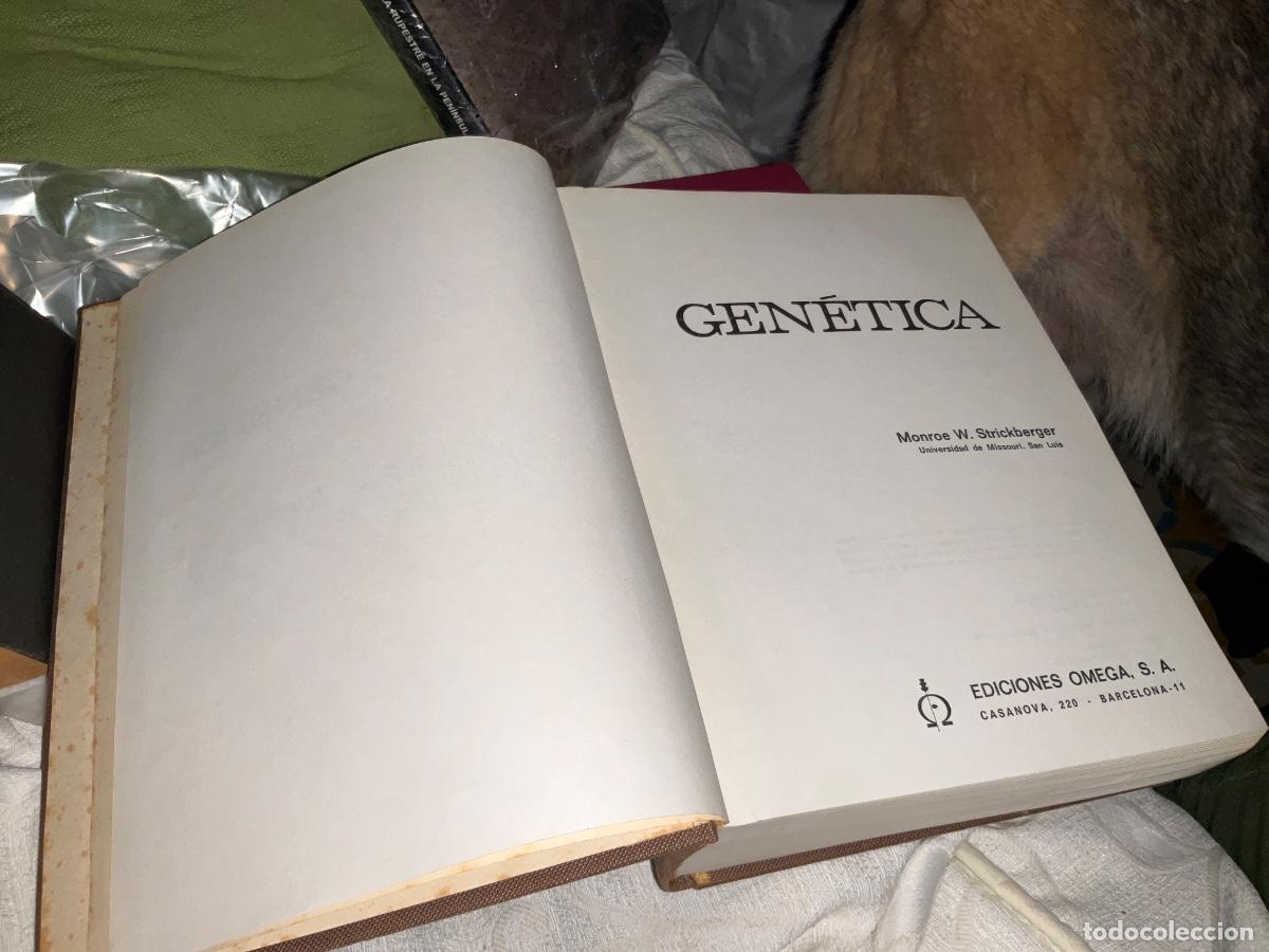 Libros de segunda mano: GEN&Eacute;TICA, MONROE W. STRICKBERGER - Foto 3