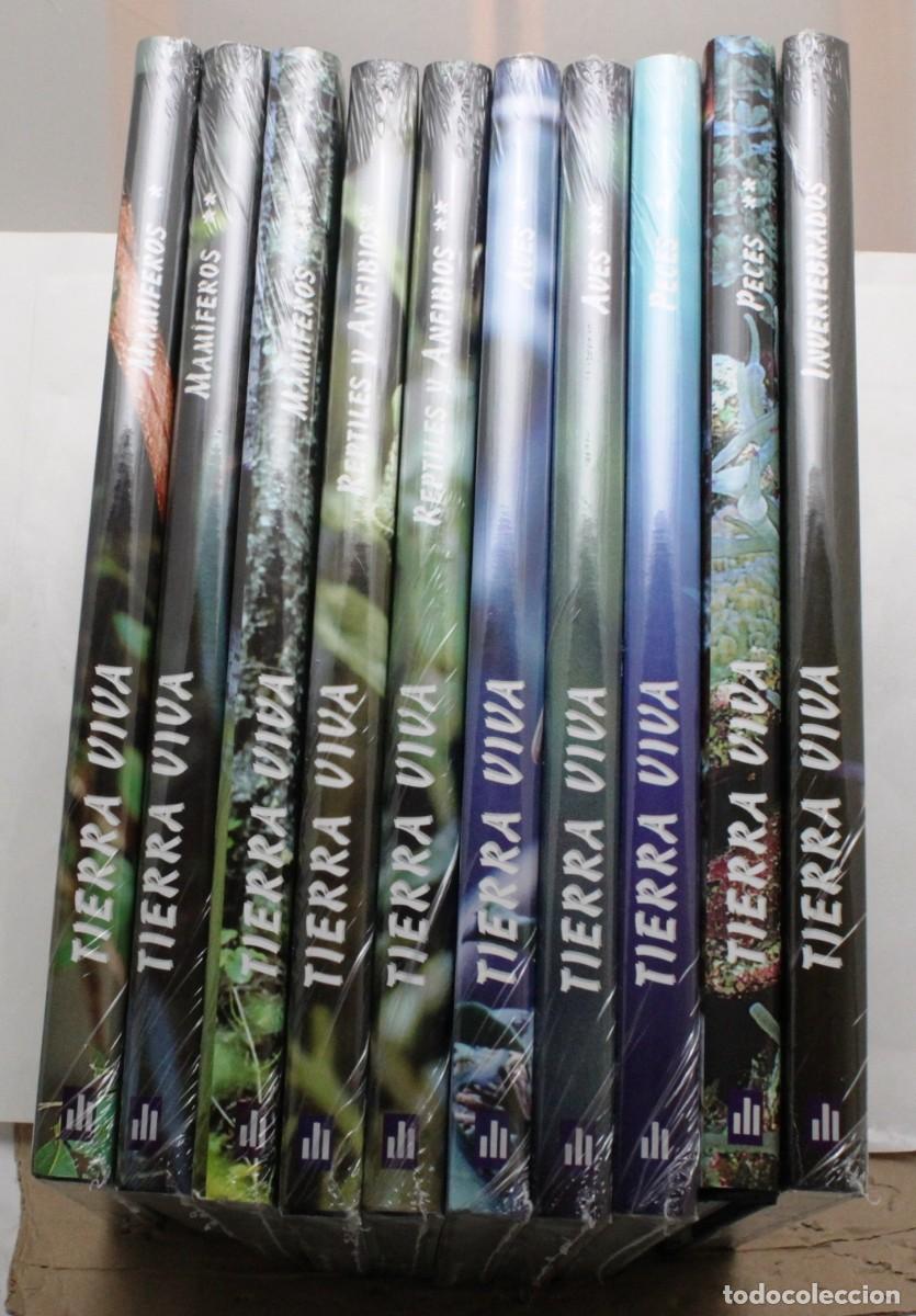 Libros de segunda mano: TIERRA VIVA. 10 Tomos. Animales del Mundo. Zoolog&iacute;a Biolog&iacute;a Fauna Mam&iacute;feros Peces Reptiles Anfibios