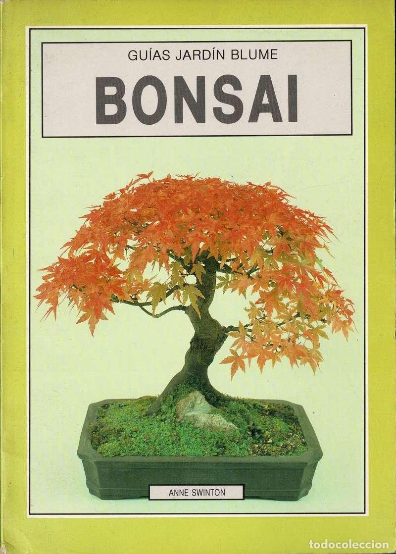 Libros de segunda mano: Bonsai - Anne Swinton - Foto 1