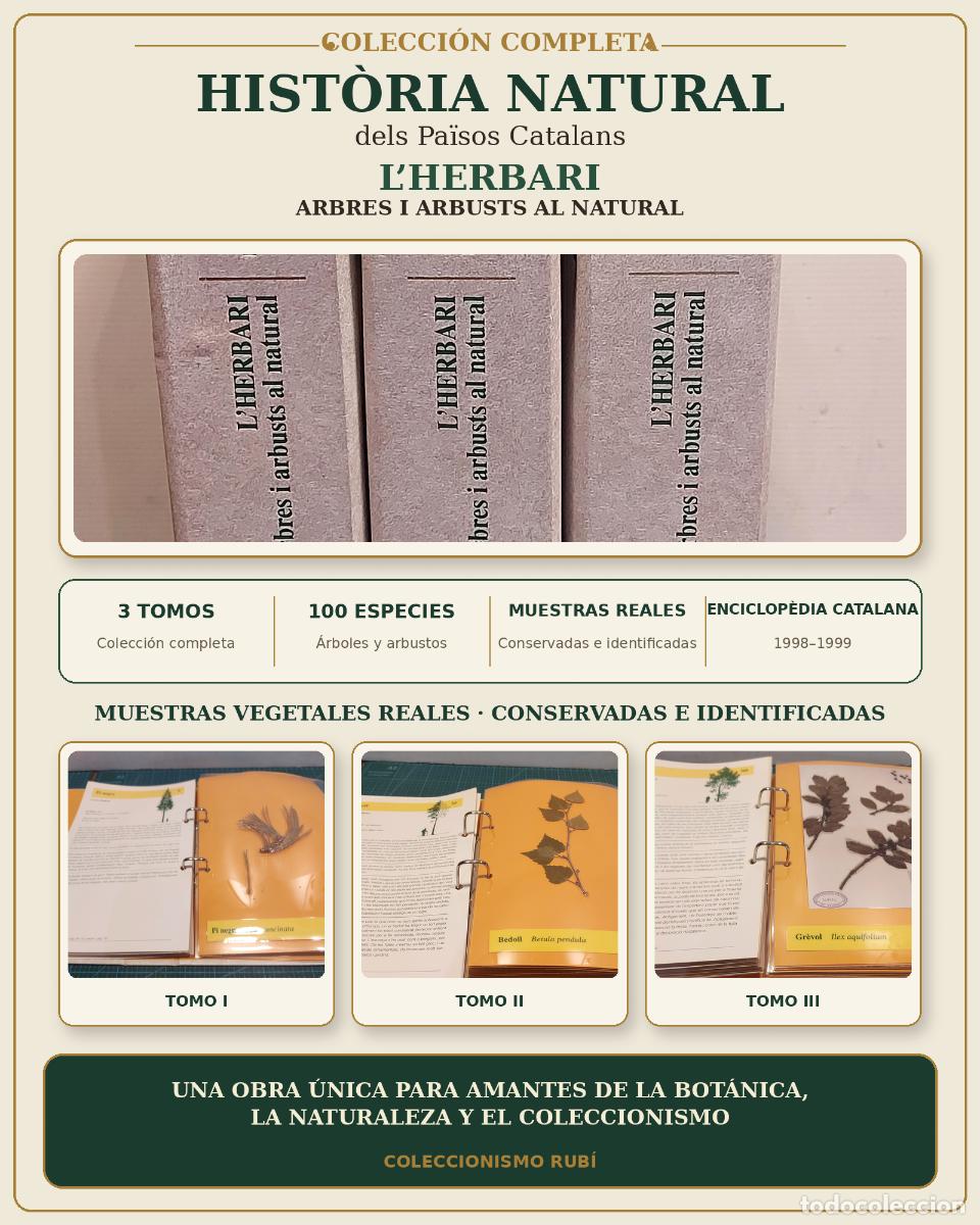 Libros de segunda mano: L&rsquo;HERBARI | COLECCI&Oacute;N COMPLETA 3 TOMOS | 100 MUESTRAS REALES | ENCICLOP&Egrave;DIA CATALANA