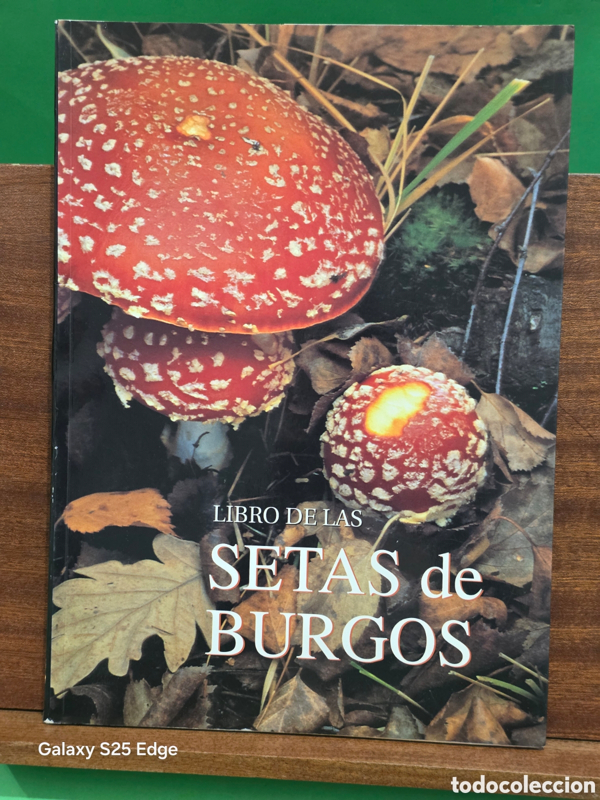 Libros de segunda mano: &rdquo;&rdquo;EL LIBRO DE LAS SETAS DE BURGOS&rdquo;&rdquo;...CARLOS E. HERMOSILLA...2000...