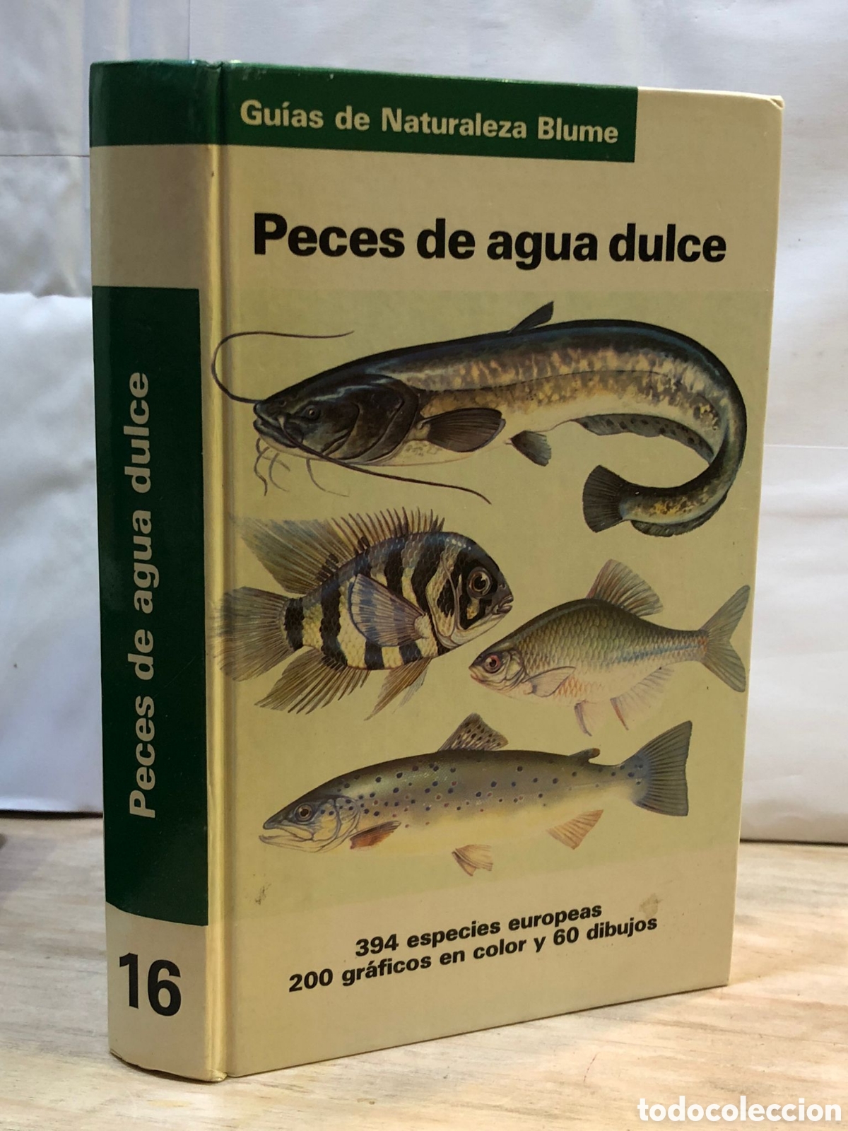 Libri di seconda mano: Peces de agua dulce - Dr. Fritz Terofal