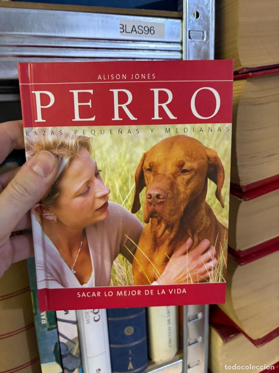 Libros de segunda mano: BLAS96 &mdash; Perro: Razas peque&ntilde;as y medianas &mdash; Alison Jones &mdash; Susaeta