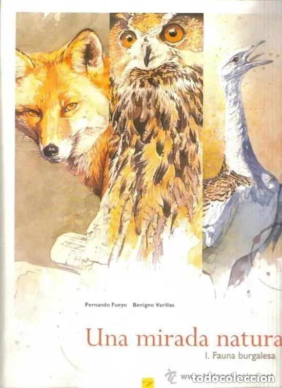 Libros de segunda mano: UN MIRADA NATURAL. FAUNA BURGALESA --FERNANDO FUEYO - BURGOS -MUY GRANDE