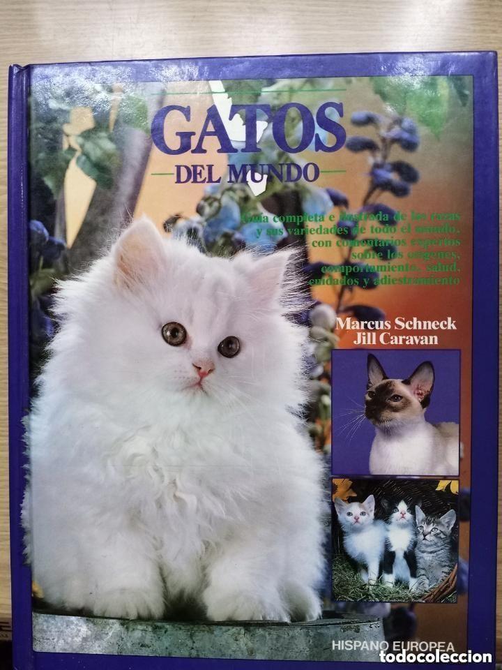 Libros de segunda mano: GATOS DEL MUNDO - LIBRO CON TAPAS DURAS