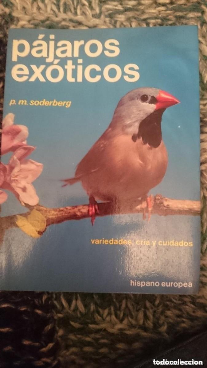 Libros de segunda mano: PAJAROS EXOTICOS -LIBRO A&Ntilde;OS 80 -MIRAR FOTO