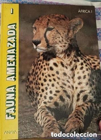 Libros de segunda mano: FAUNA AMENAZADA N 1 - AFRICA I - ED. ANAYA