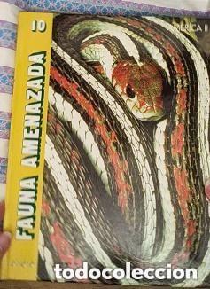 Libros de segunda mano: FAUNA AMENAZADA N 10 - AMERICA II - ED. ANAYA -MIRAR FOTOS