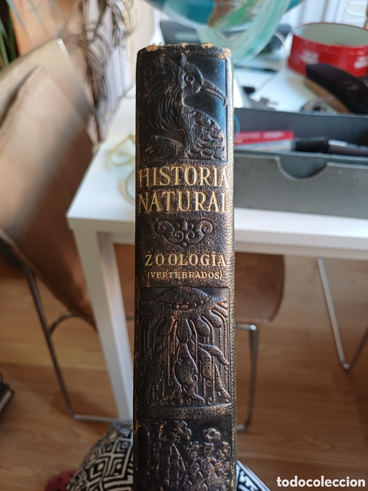 Libros de segunda mano: Historia Natural. 4 vol&uacute;menes - Foto 2