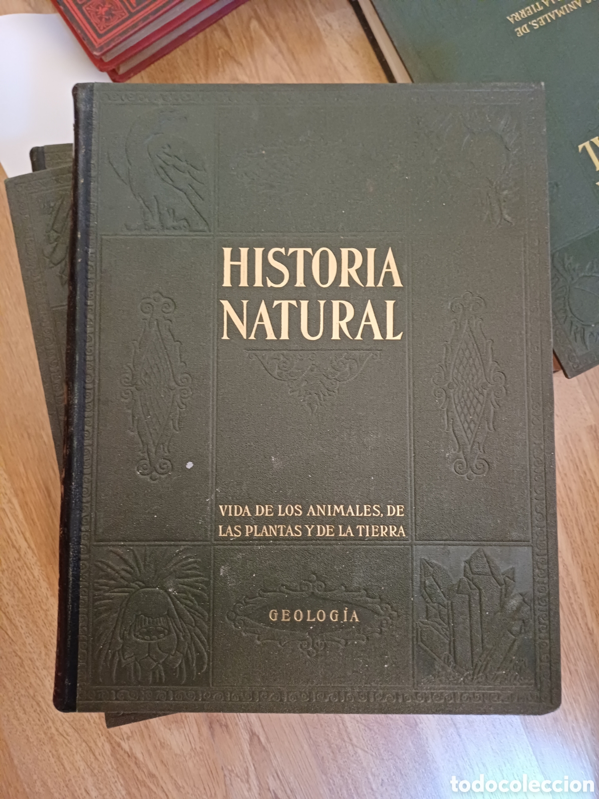 Libros de segunda mano: Historia Natural. 4 vol&uacute;menes