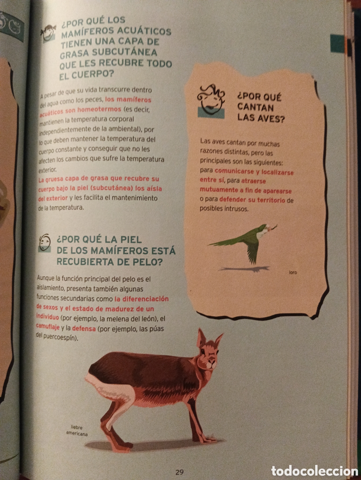 Libros de segunda mano: El aula en casa, biblioteca de consulta 1 - Foto 2