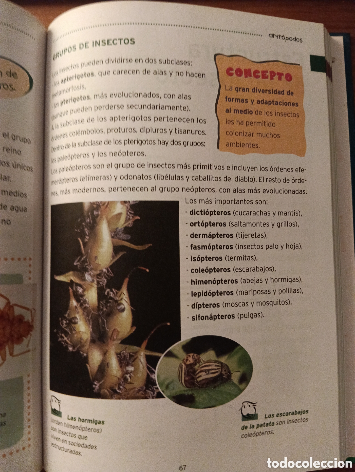 Libros de segunda mano: El aula en casa, biblioteca de consulta 1 - Foto 3
