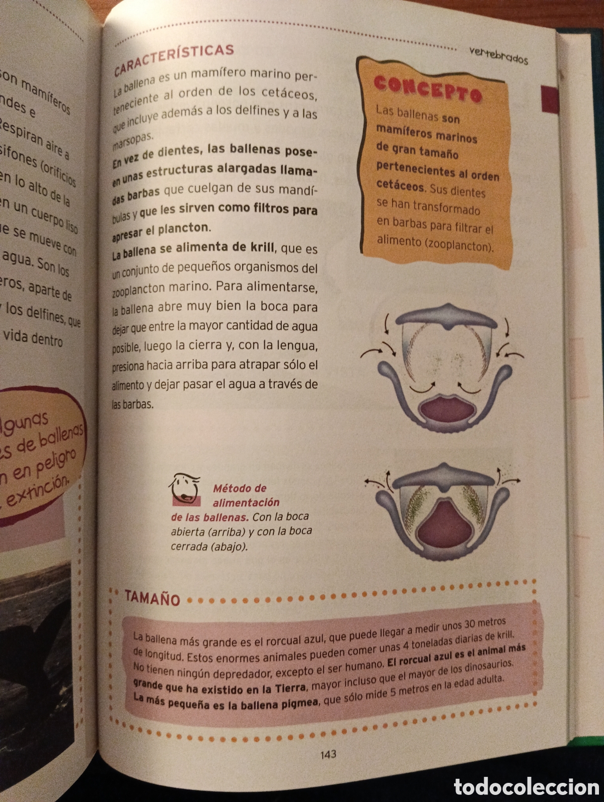 Libros de segunda mano: El aula en casa, biblioteca de consulta 1 - Foto 4