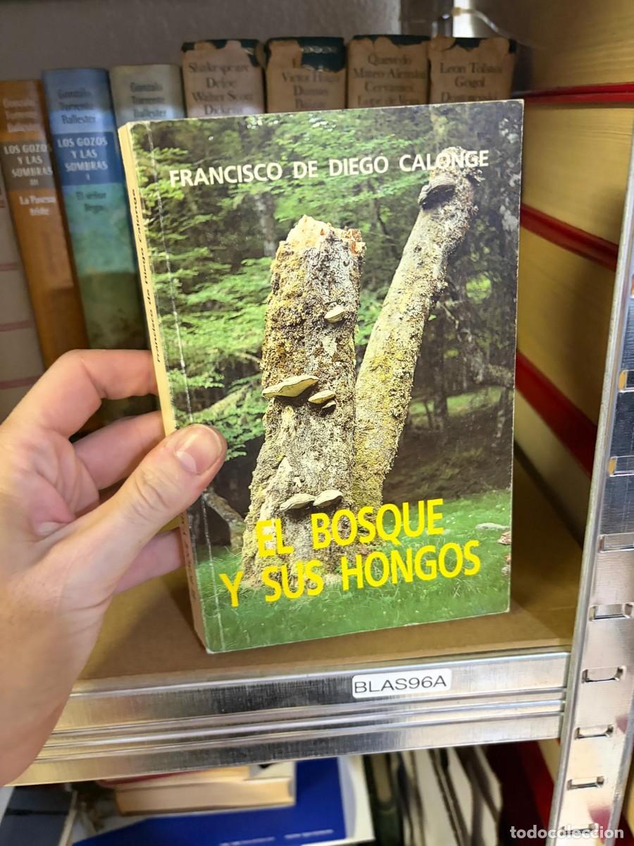 Libros de segunda mano: BLAS96A &mdash; El bosque y sus hongos &mdash; Francisco de Diego Calonge.