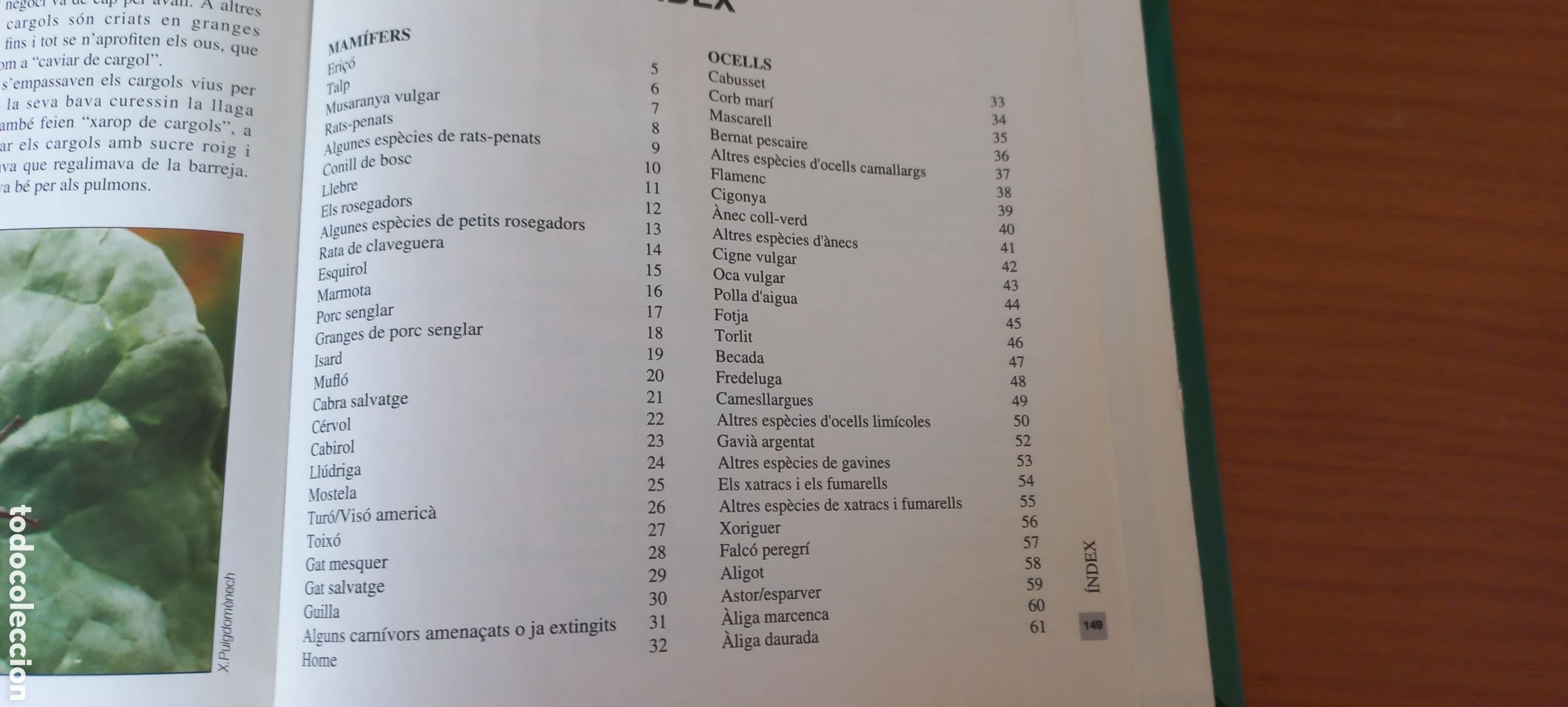 Libros de segunda mano: Bestiari de Catalunya El 9nou Jaume Sa&ntilde;&eacute; 1995 - Foto 4