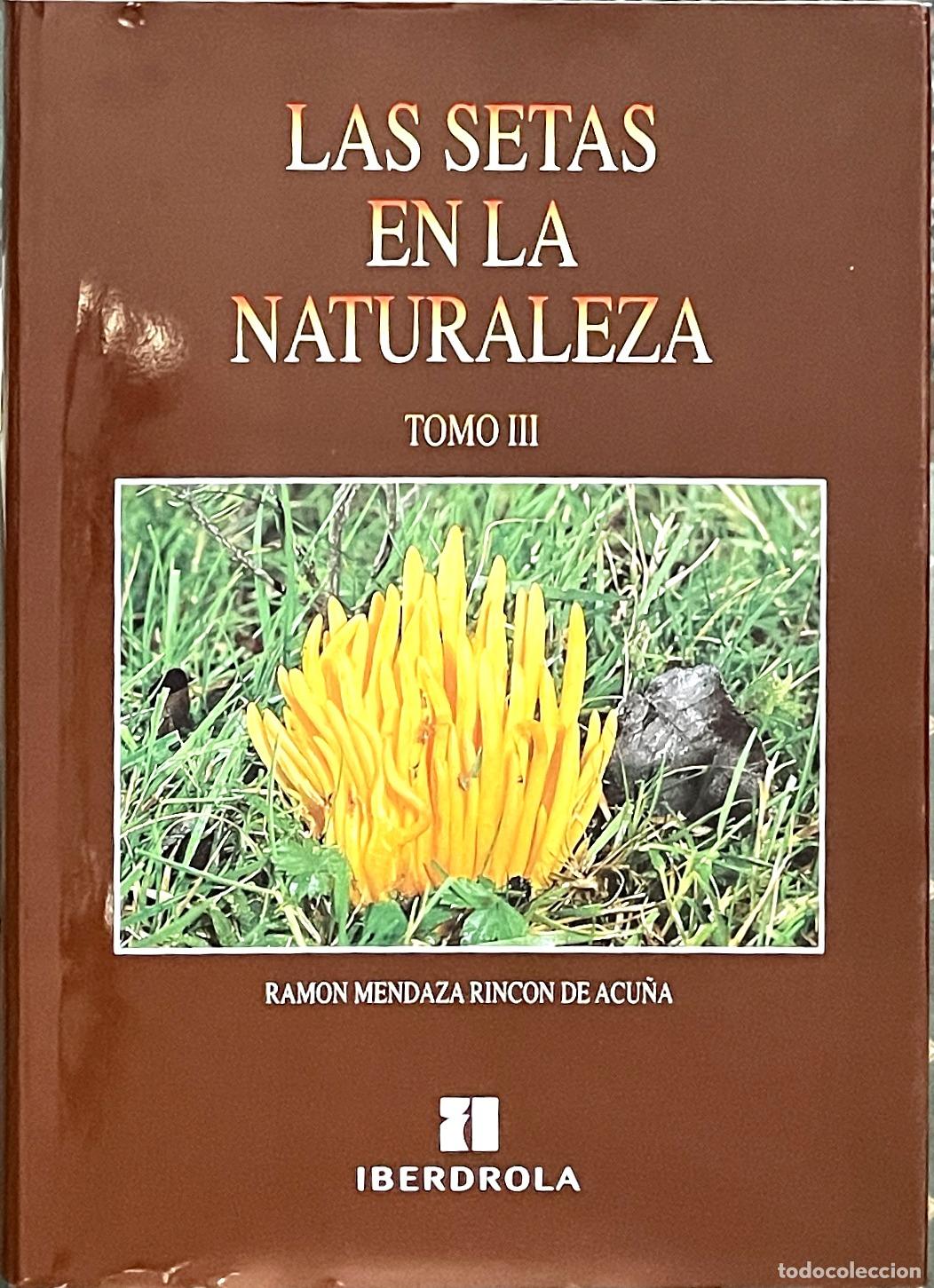 Libros de segunda mano: LAS SETAS EN LA NATURALEZA. TOMO III. IBERDROLA. HONGOS. MICOLOG&Iacute;A
