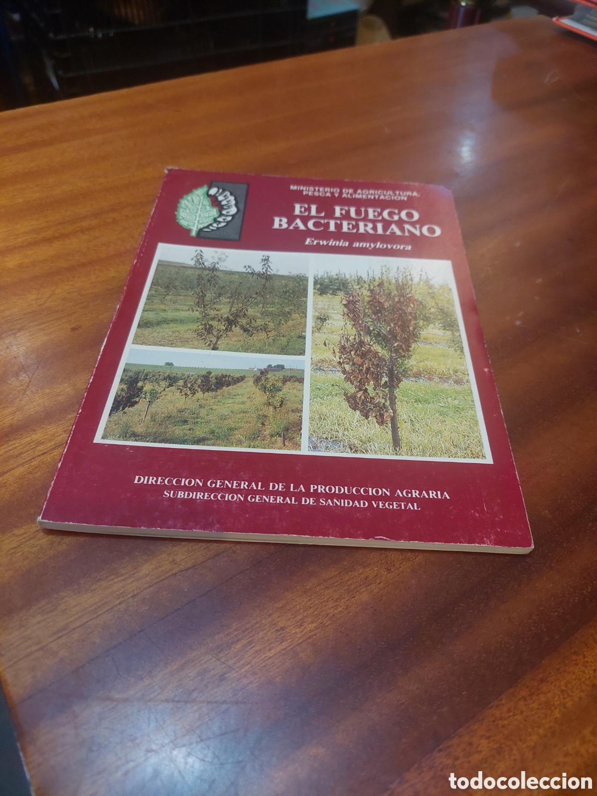 Libros de segunda mano: EL FUEGO BACTERIANO.MINISTERIO DE AGRICULTURA PESCA Y ALIMENTACI&Oacute;N.