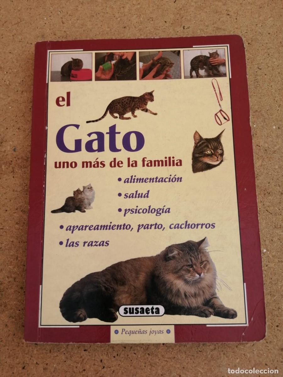 Libros de segunda mano: EL GAT, UNO MAS DE LA FAMILIA (SUSAETA)