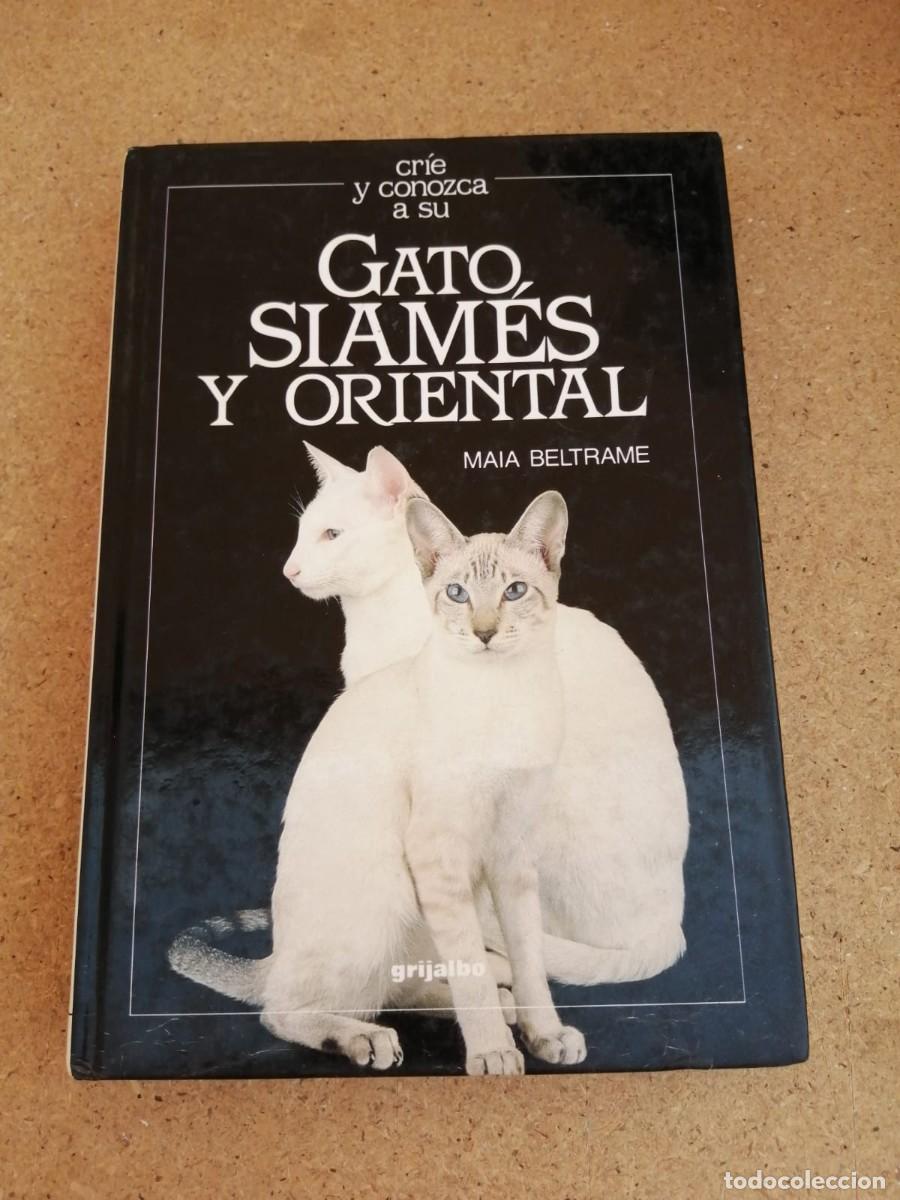 Libros de segunda mano: CRIE Y CONOZCA A SU GATO SIAMES Y ORIENTAL (MAIA BELTRAME) - Foto 1