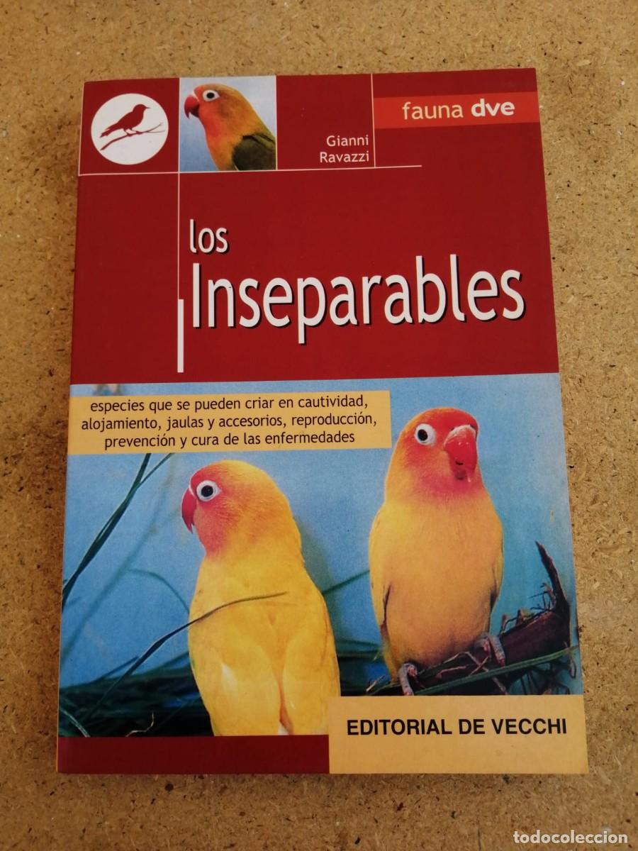 Libros de segunda mano: LOS INSEPARABLES (GIANNI RAVAZZI) EDITORIAL DE VECCHI - Foto 1