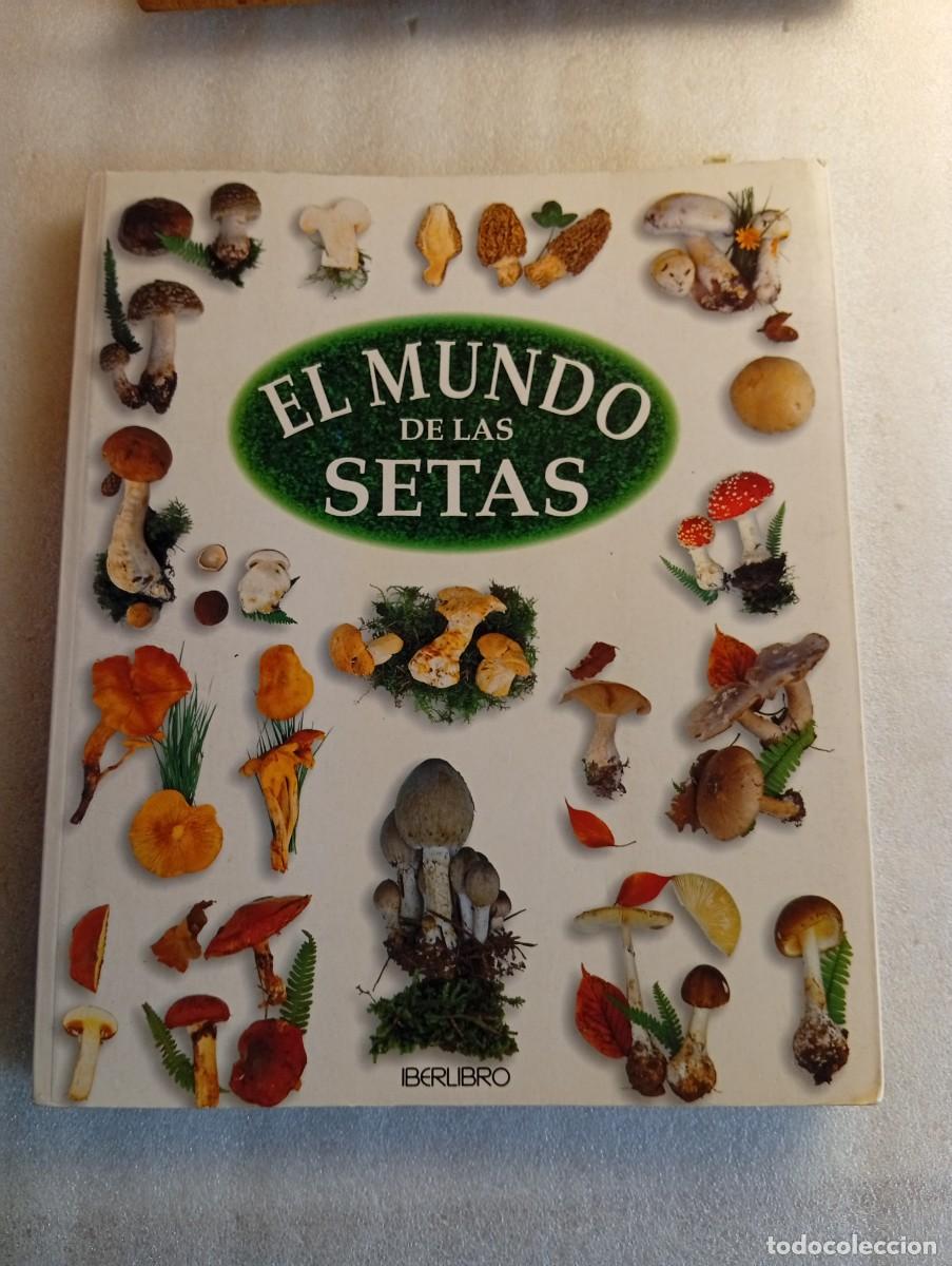 Libros de segunda mano: EL MUNDO DE LAS SETAS - G&Eacute;RARD HOUDOU - IBERLIBRO, - MICOLOG&Iacute;A Y COCINA GRAN FORMATO