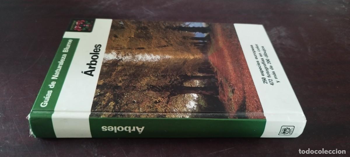 Libros de segunda mano: ARBOLES / BRUNO P. KREMER / KARA 44 / BLUME