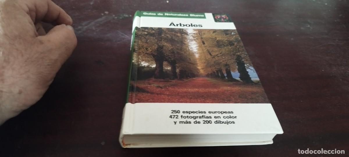 Libros de segunda mano: ARBOLES / BRUNO P. KREMER / KARA 44 / BLUME - Foto 2