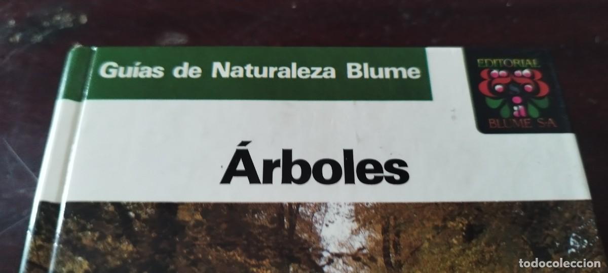 Libros de segunda mano: ARBOLES / BRUNO P. KREMER / KARA 44 / BLUME - Foto 3