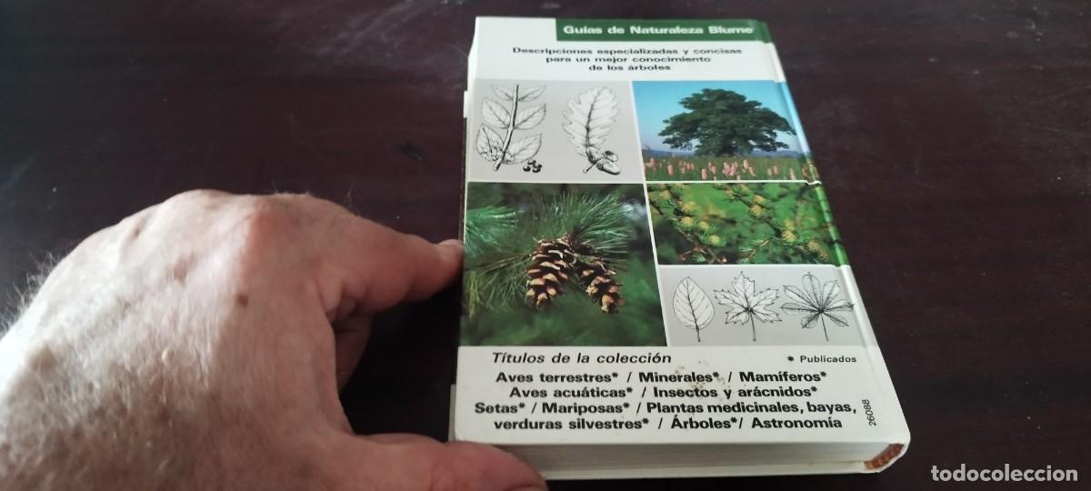 Libros de segunda mano: ARBOLES / BRUNO P. KREMER / KARA 44 / BLUME - Foto 4