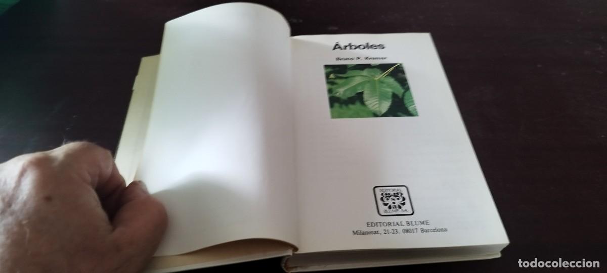 Libros de segunda mano: ARBOLES / BRUNO P. KREMER / KARA 44 / BLUME - Foto 5