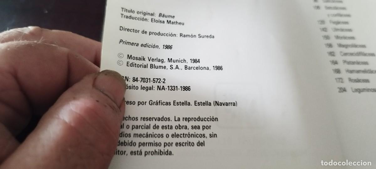 Libros de segunda mano: ARBOLES / BRUNO P. KREMER / KARA 44 / BLUME - Foto 6