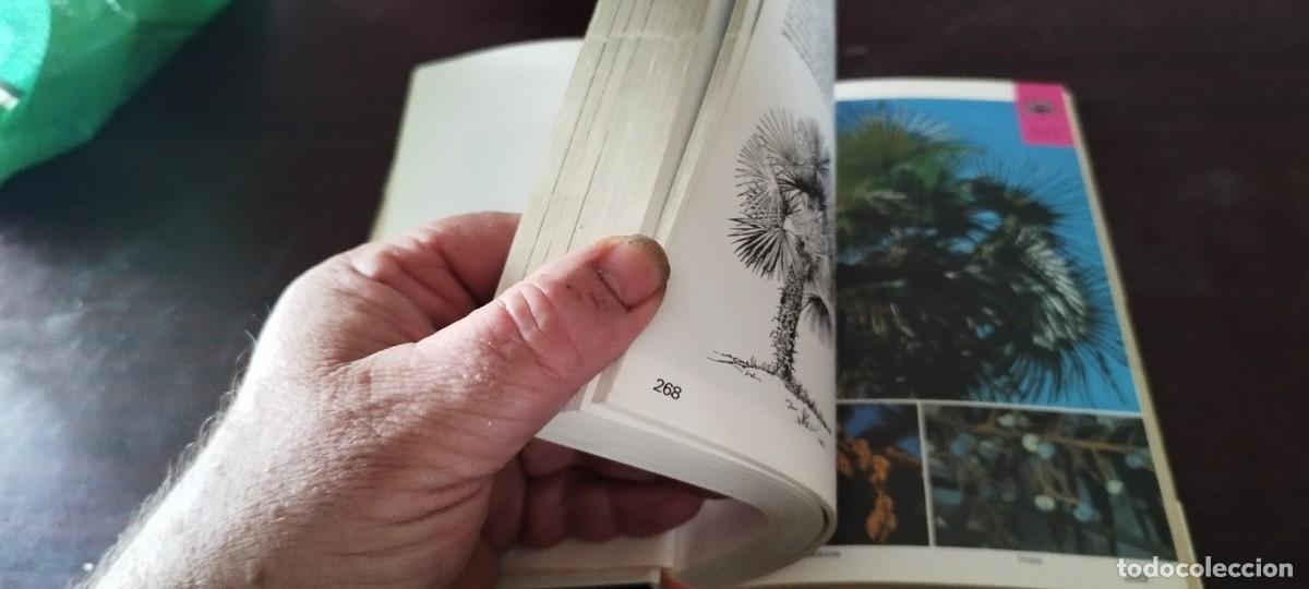 Libros de segunda mano: ARBOLES / BRUNO P. KREMER / KARA 44 / BLUME - Foto 8