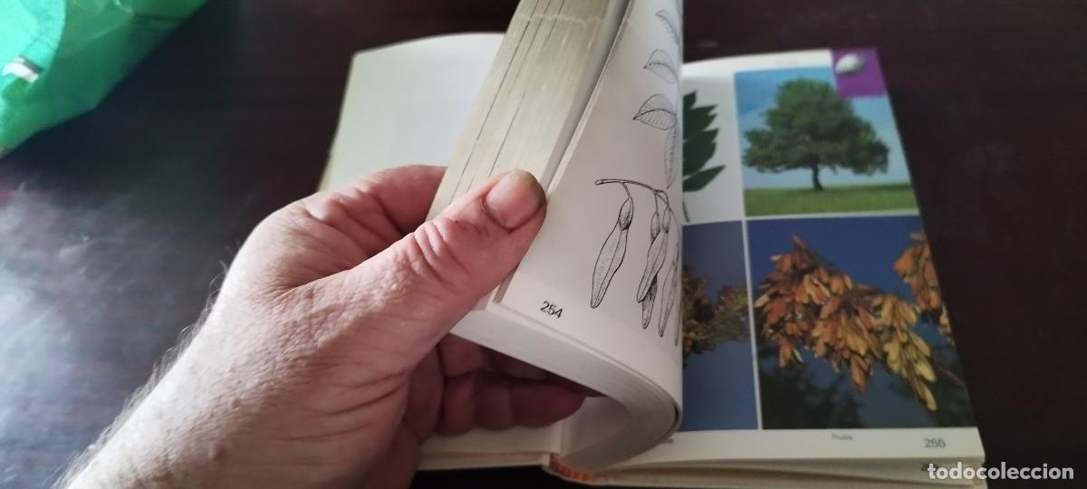 Libros de segunda mano: ARBOLES / BRUNO P. KREMER / KARA 44 / BLUME - Foto 9