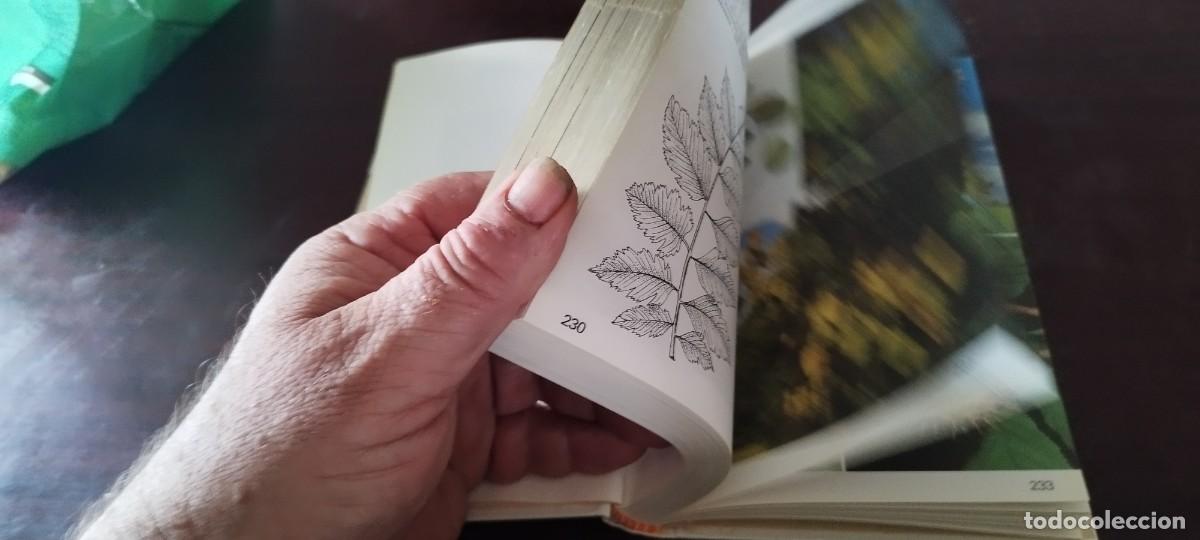 Libros de segunda mano: ARBOLES / BRUNO P. KREMER / KARA 44 / BLUME - Foto 10