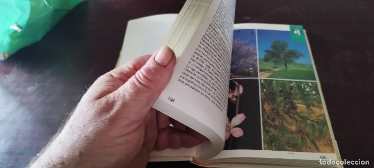 Libros de segunda mano: ARBOLES / BRUNO P. KREMER / KARA 44 / BLUME - Foto 11